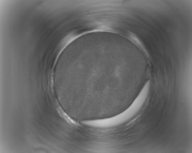 X0000082201292200701270108