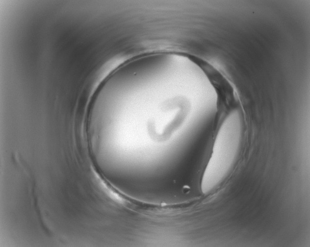 X0000082201293200701270108