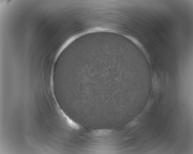 X0000082201294200701270108