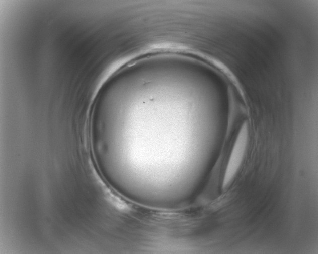 X0000082201295200701270108