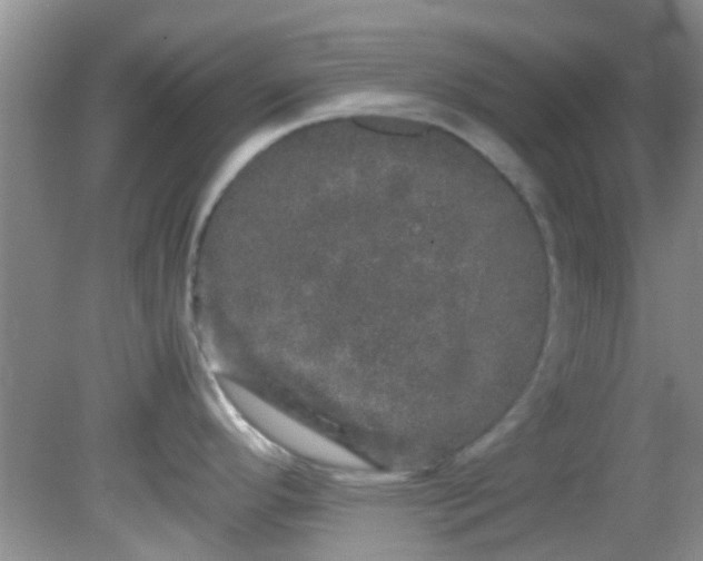 X0000082201296200701270108