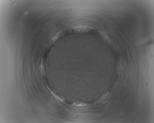 X0000082201298200701270108