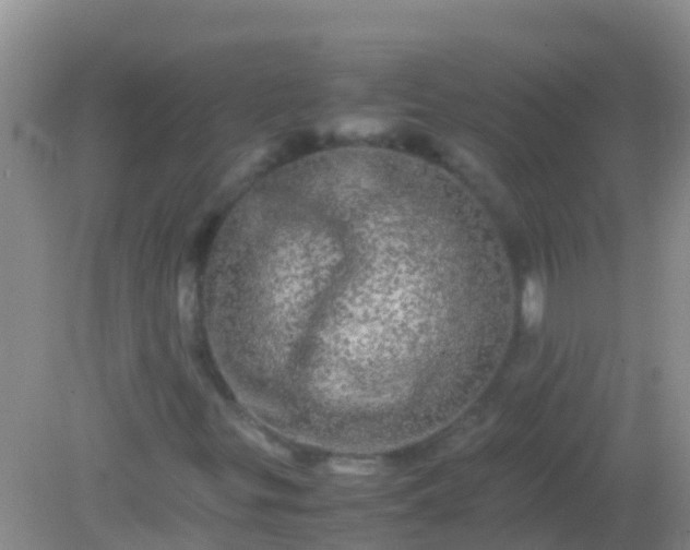 X0000082201299200701270108