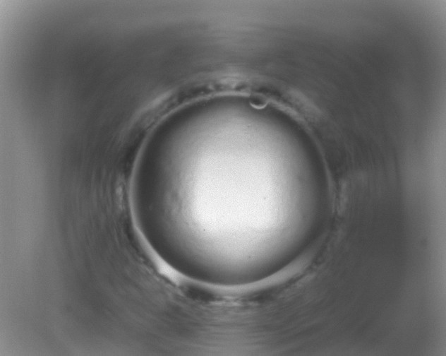 X0000082201302200701270108