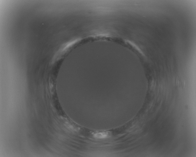 X0000082201303200701270108