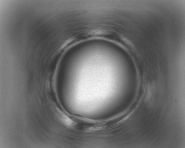 X0000082201305200701270108