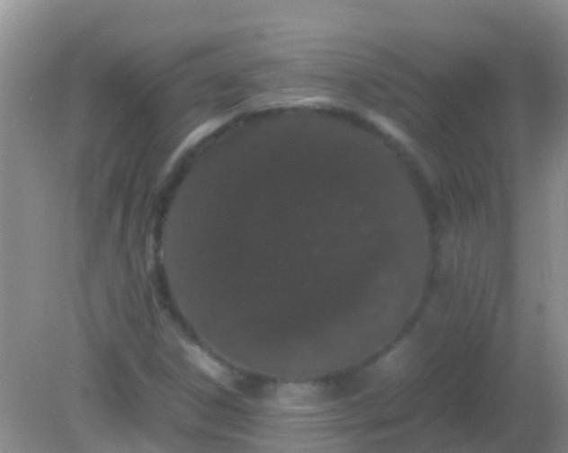 X0000082201306200701270108