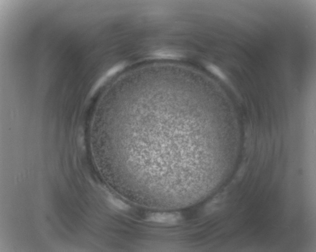 X0000082201307200701270108