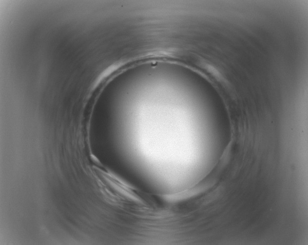 X0000082201308200701270108