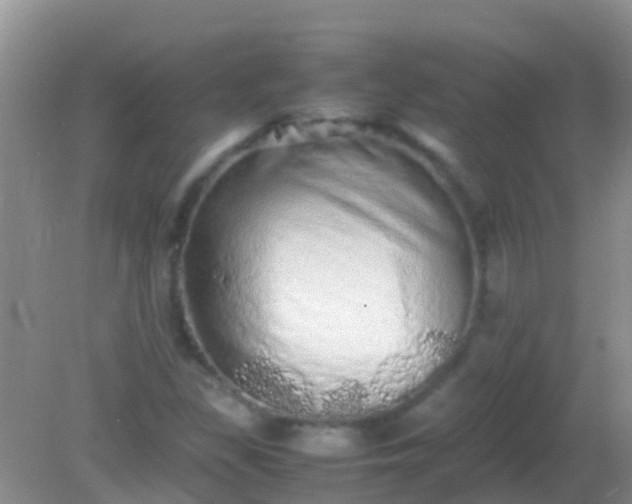 X0000082201309200701270108