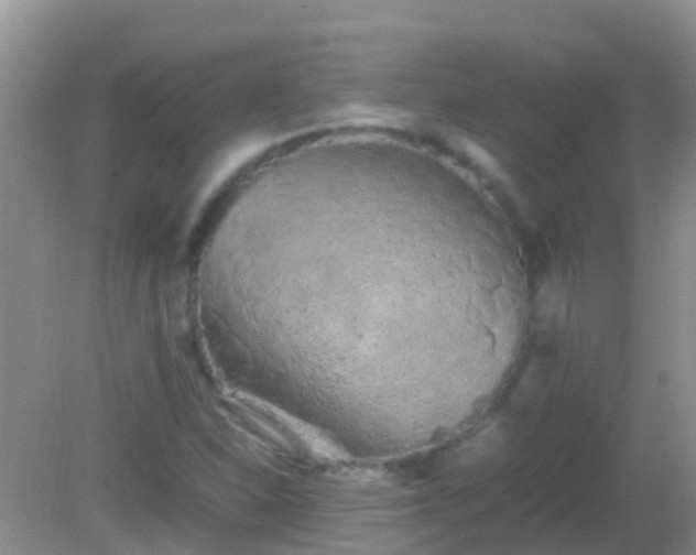 X0000082201310200701270108