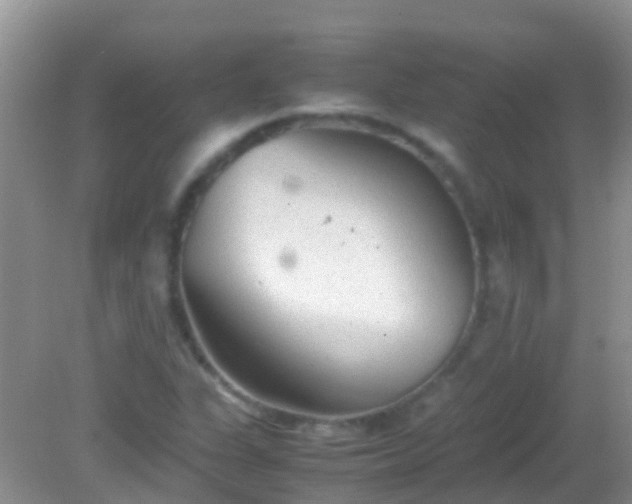 X0000082201311200701270108