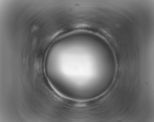 X0000082201313200701270108