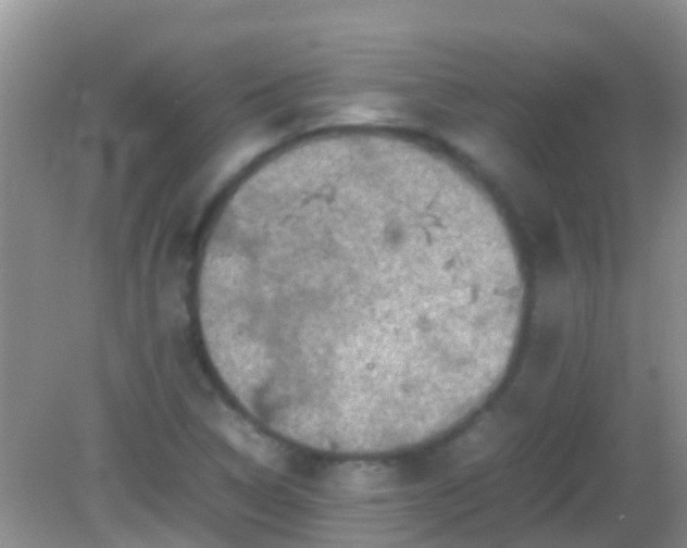 X0000082201314200701270108