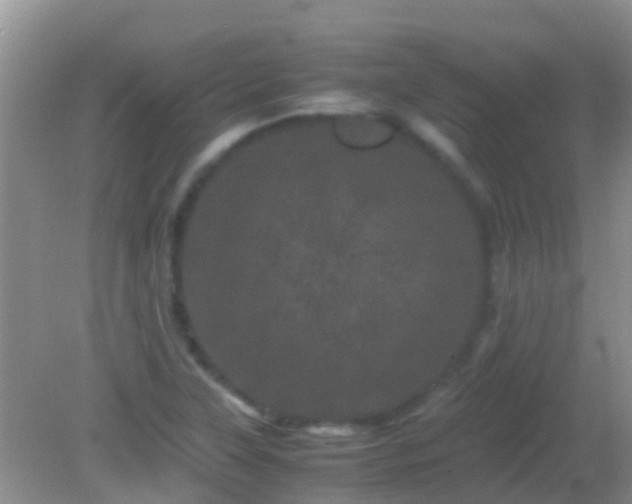 X0000082201315200701270108