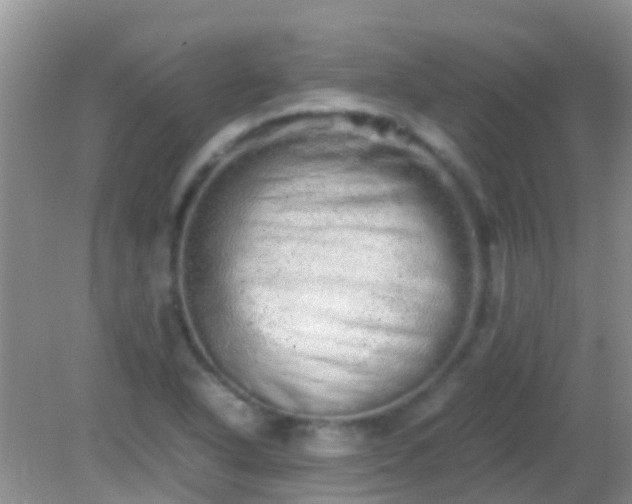 X0000082201318200701270108