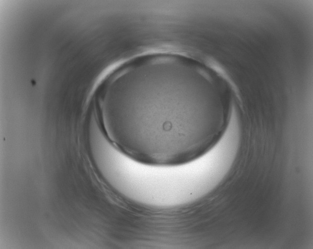 X0000082201320200701270108