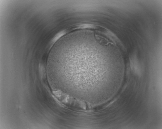 X0000082201321200701270108