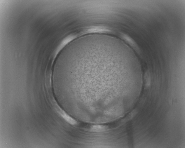 X0000082201322200701270108