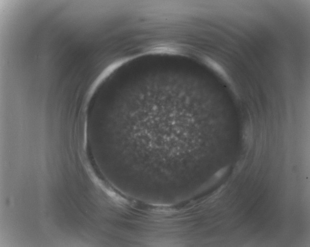 X0000082201323200701270108