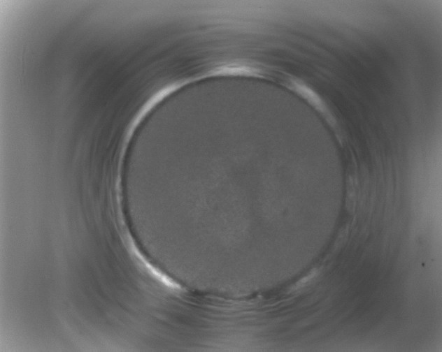 X0000082201331200701270108