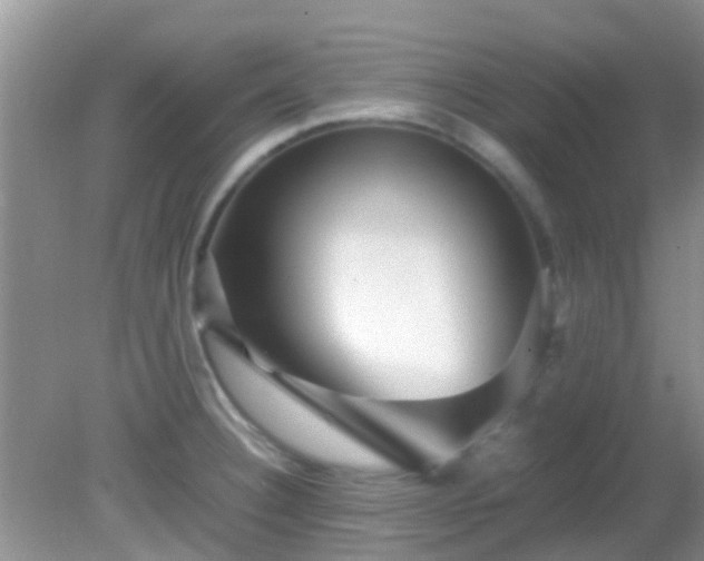 X0000082201332200701270108