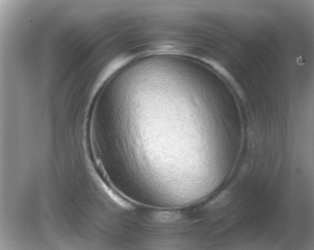 X0000082201333200701270108