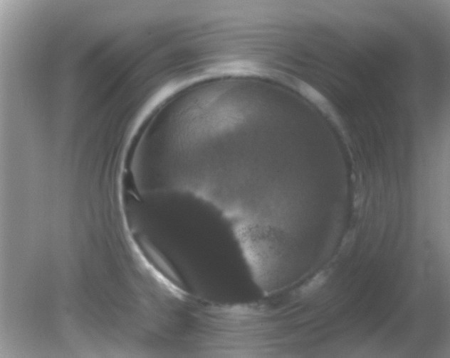 X0000082201334200701270108