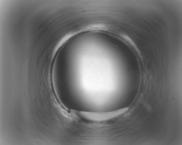 X0000082201336200701270108