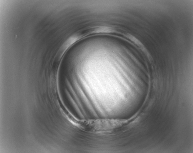 X0000082201337200701270108