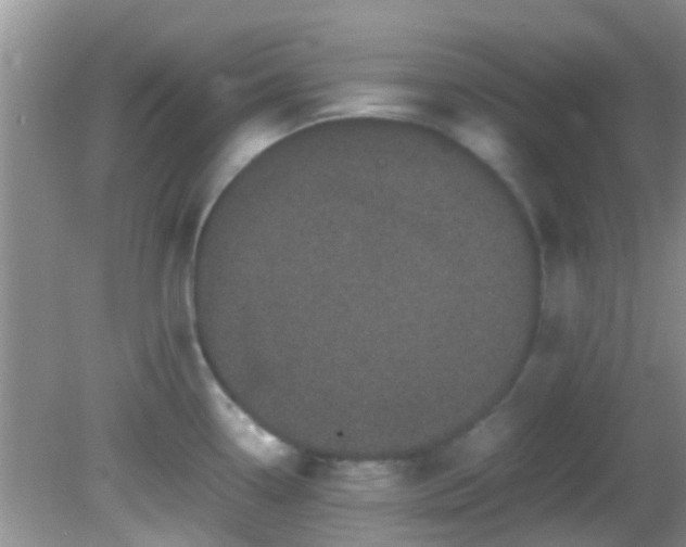 X0000082201338200701270108