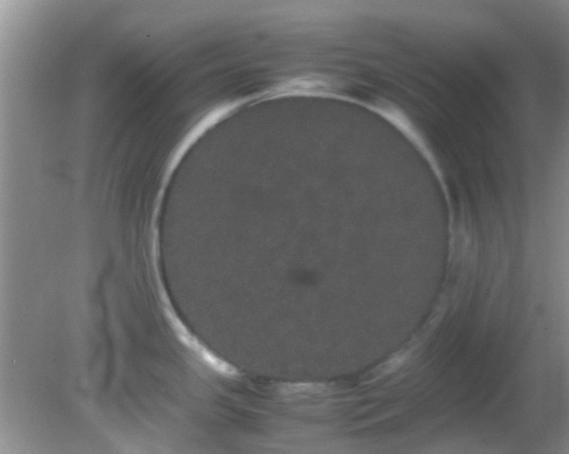 X0000082201341200701270108