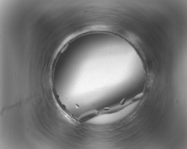 X0000082201342200701270108