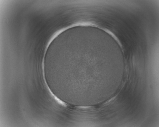 X0000082201343200701270108