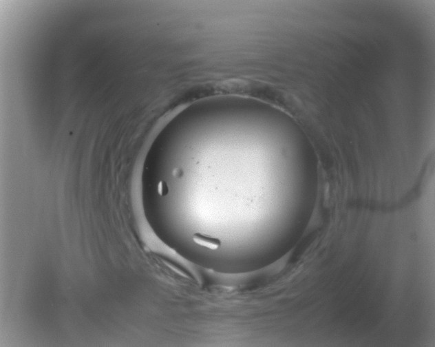 X0000082201345200701270107