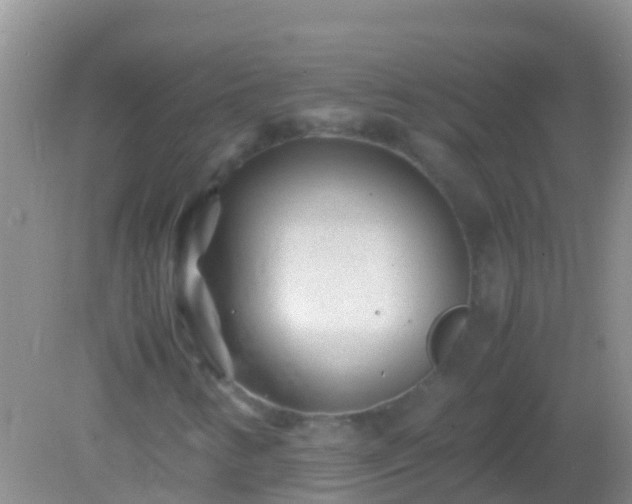 X0000082201346200701270107