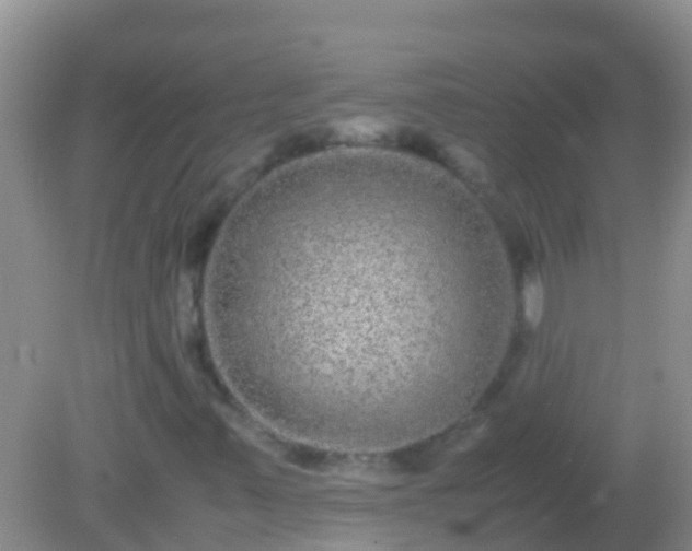 X0000082201347200701270107