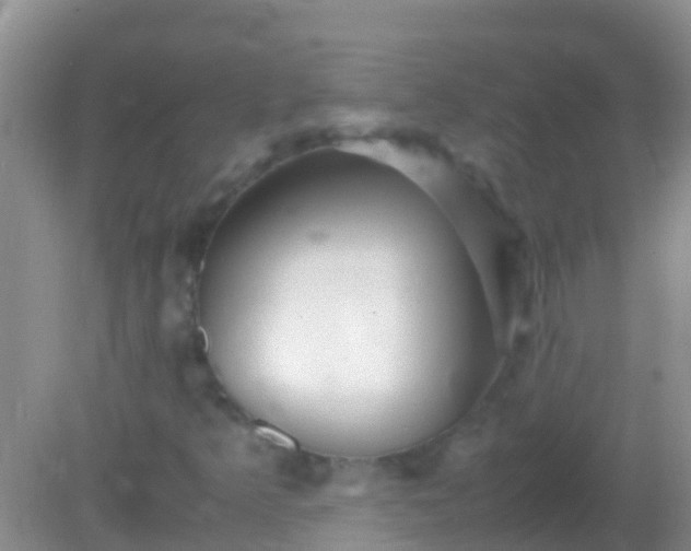 X0000082201349200701270107