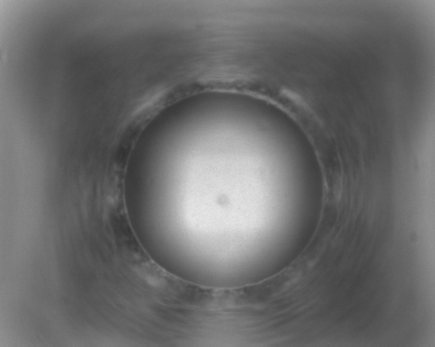 X0000082201350200701270107