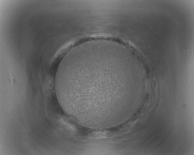 X0000082201351200701270107