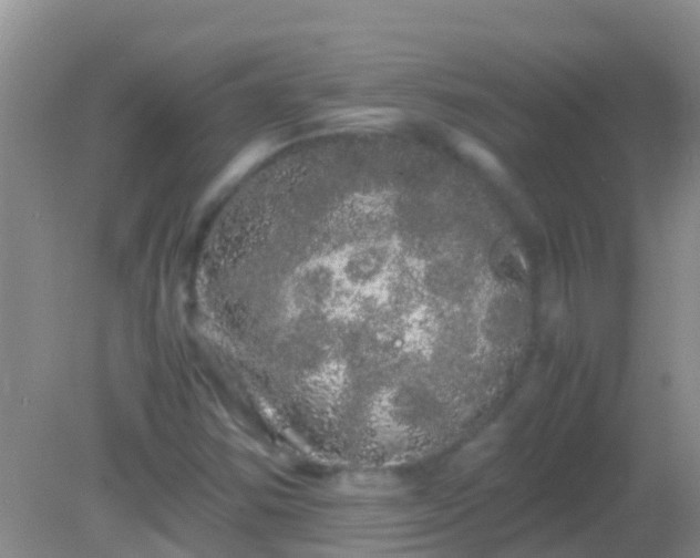 X0000082201354200701270107