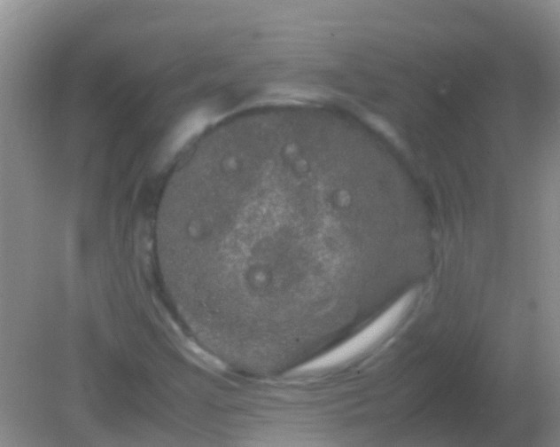 X0000082201355200701270107