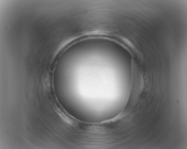 X0000082201356200701270107