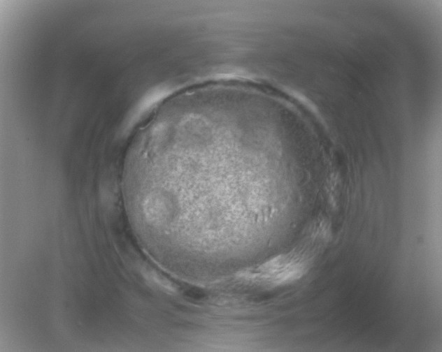 X0000082201359200701270107