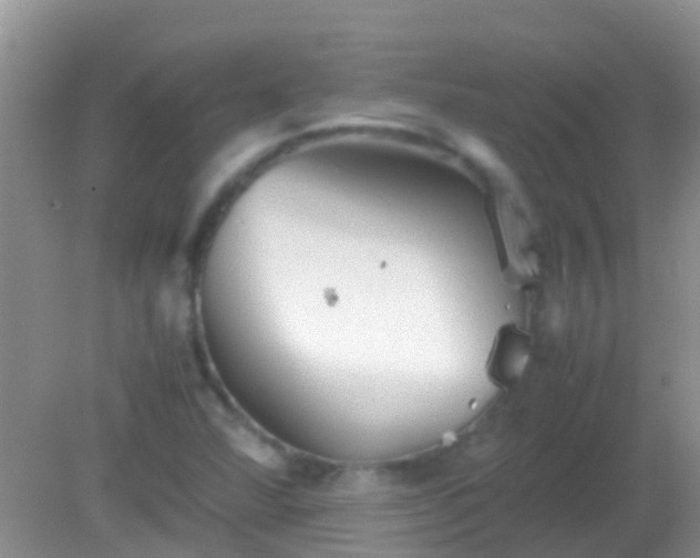 X0000082201360200701270107