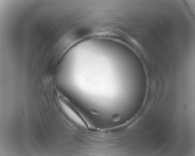 X0000082201361200701270107