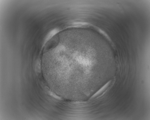 X0000082201362200701270107