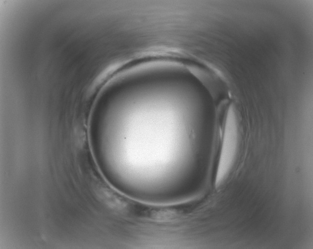 X0000082201363200701270107