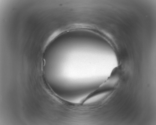 X0000082201365200701270107