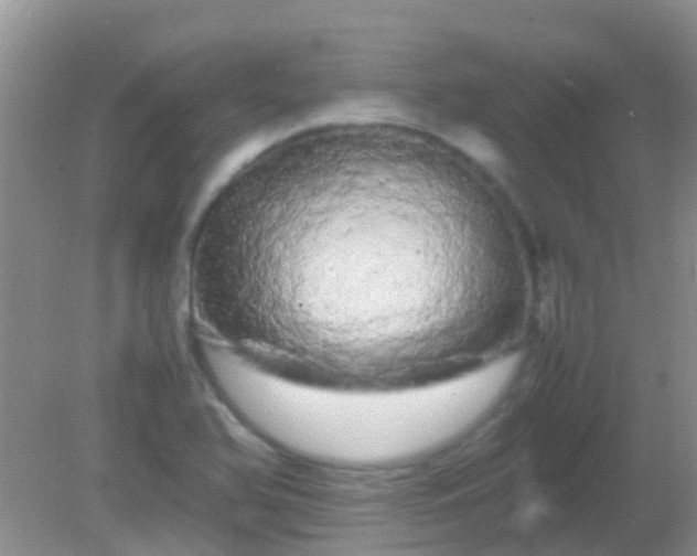 X0000082201366200701270107